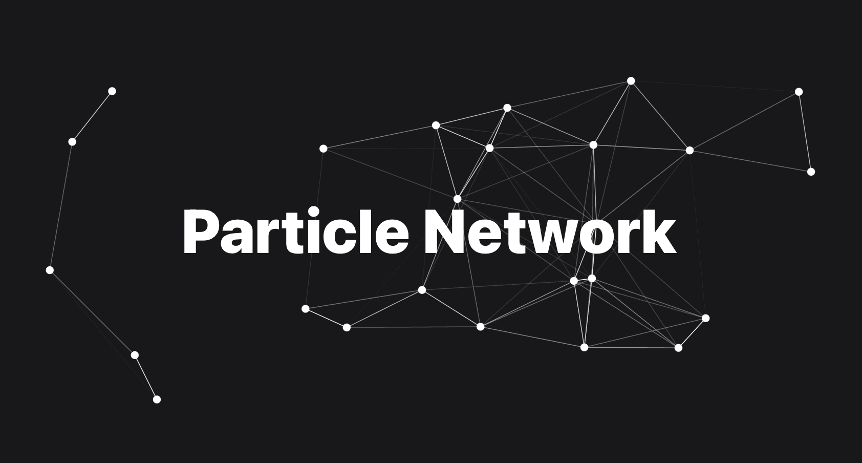 Particle Network